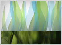 Ogilvy/Leopard: Web Module